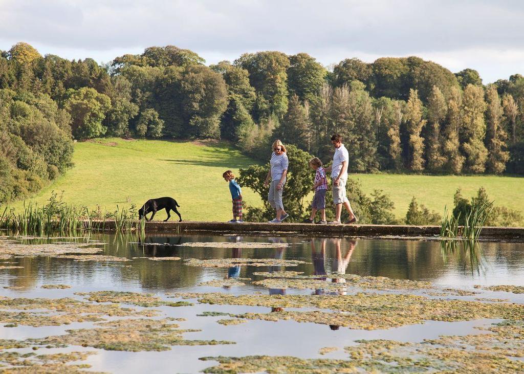 Swandown Lodges Chard Buitenkant foto